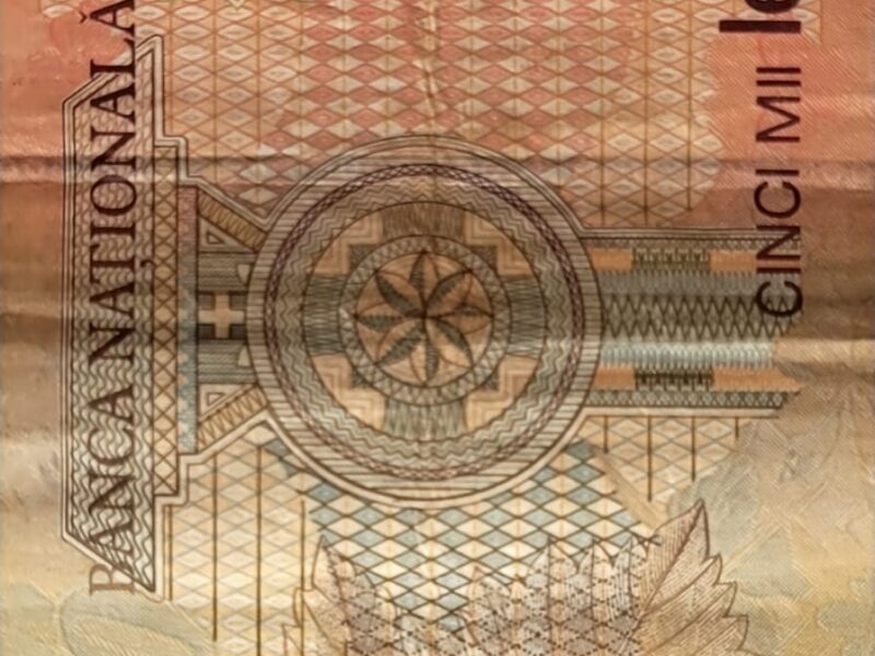 5000lei