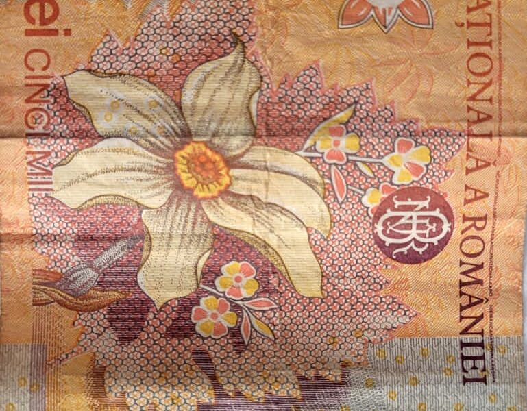 5000lei